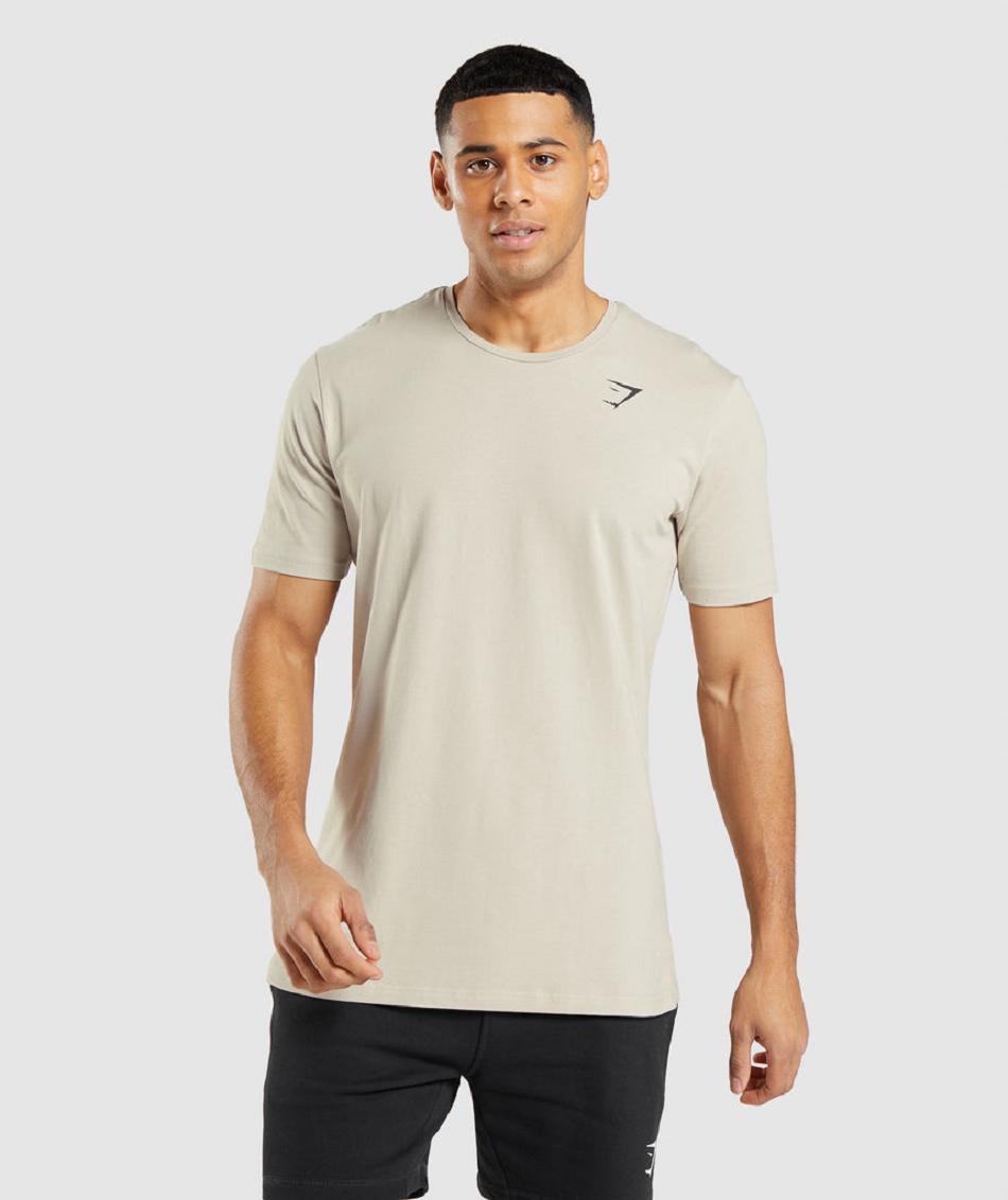 T Shirts Gymshark Essential Hombre Gris | CO 3292VRW